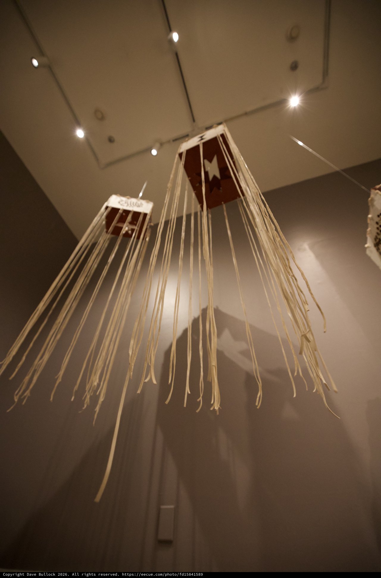 Contemporary Native American Art Installation in Museum Gallery