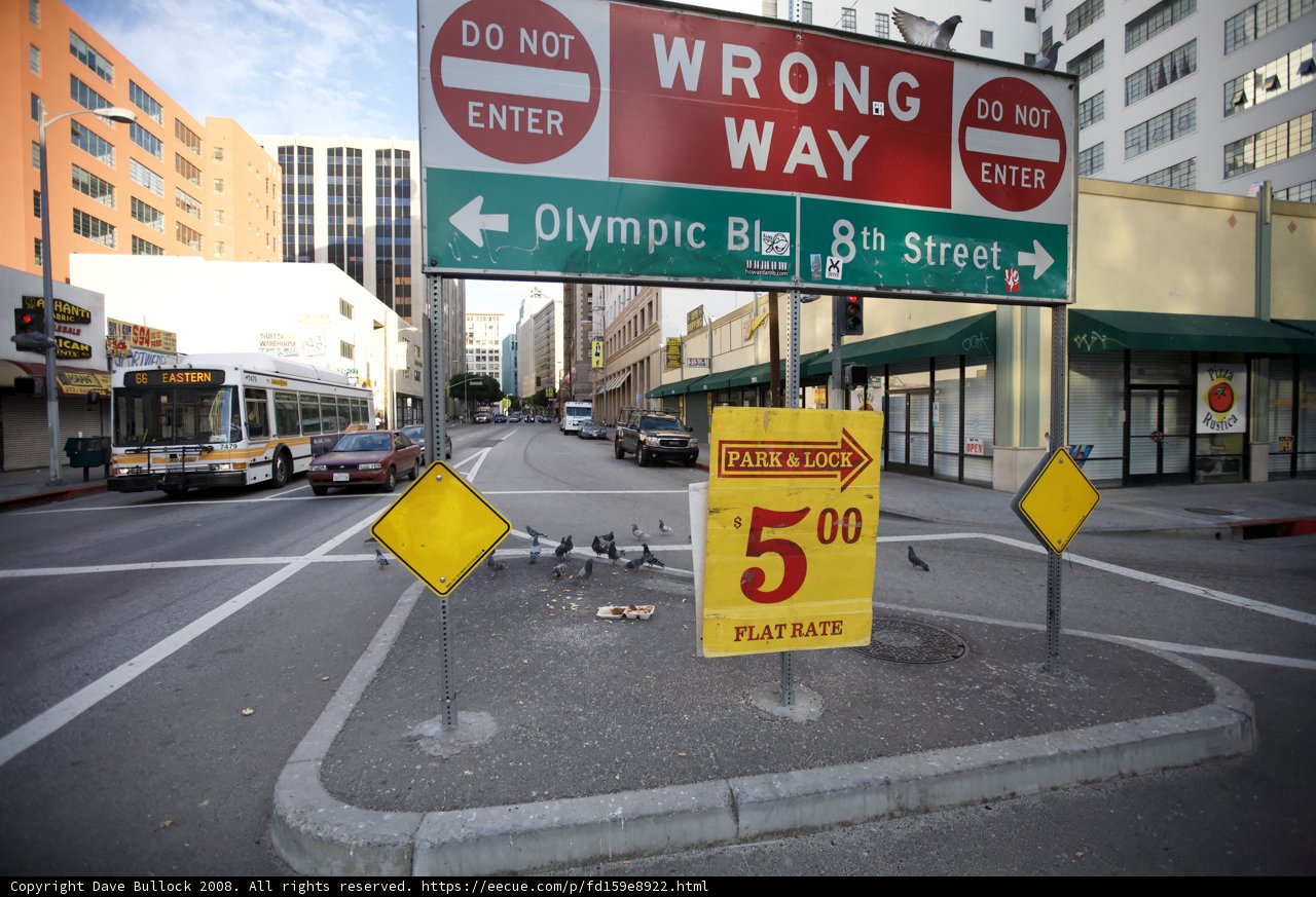 Wrong Way Ahead