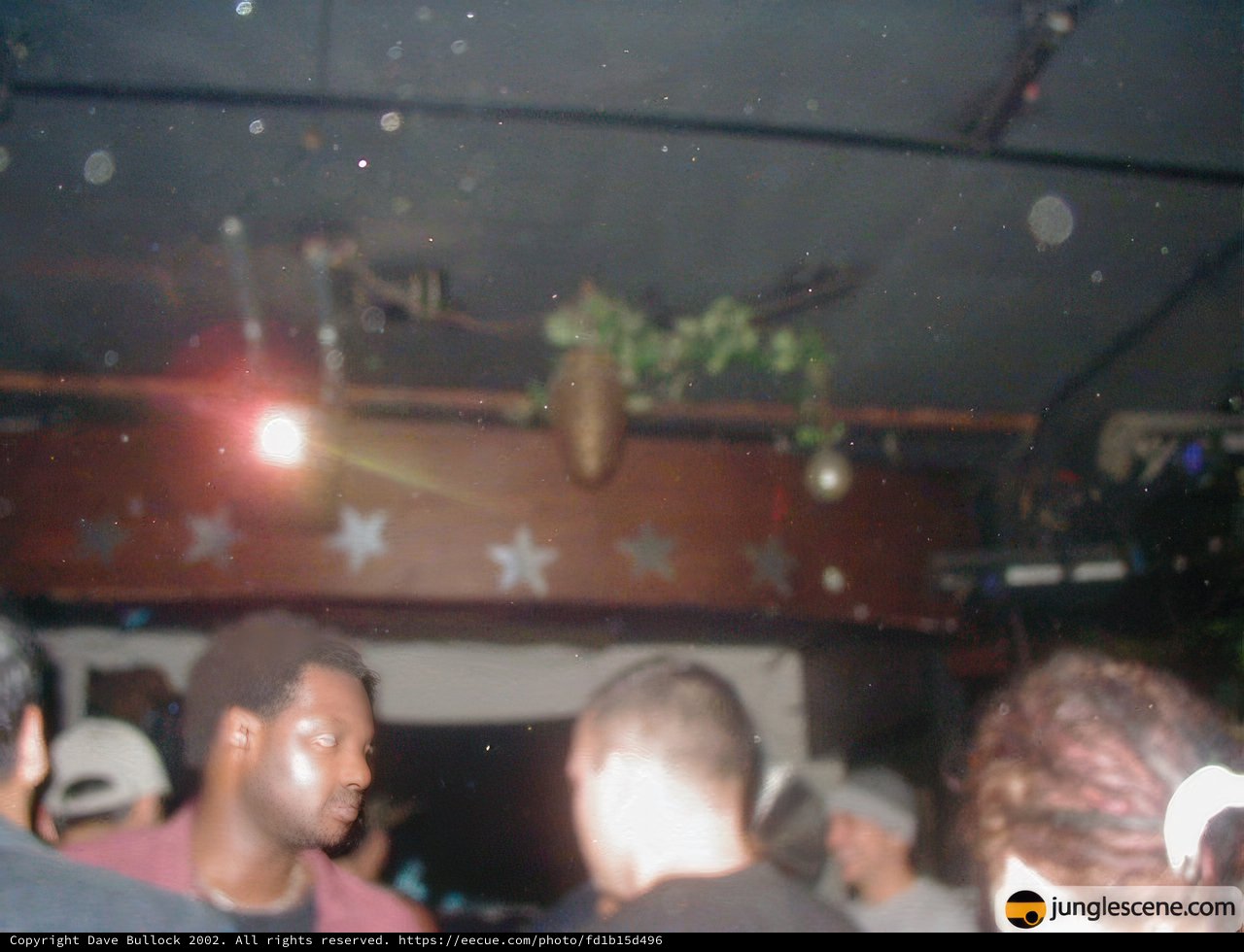 Nightclub Crowd