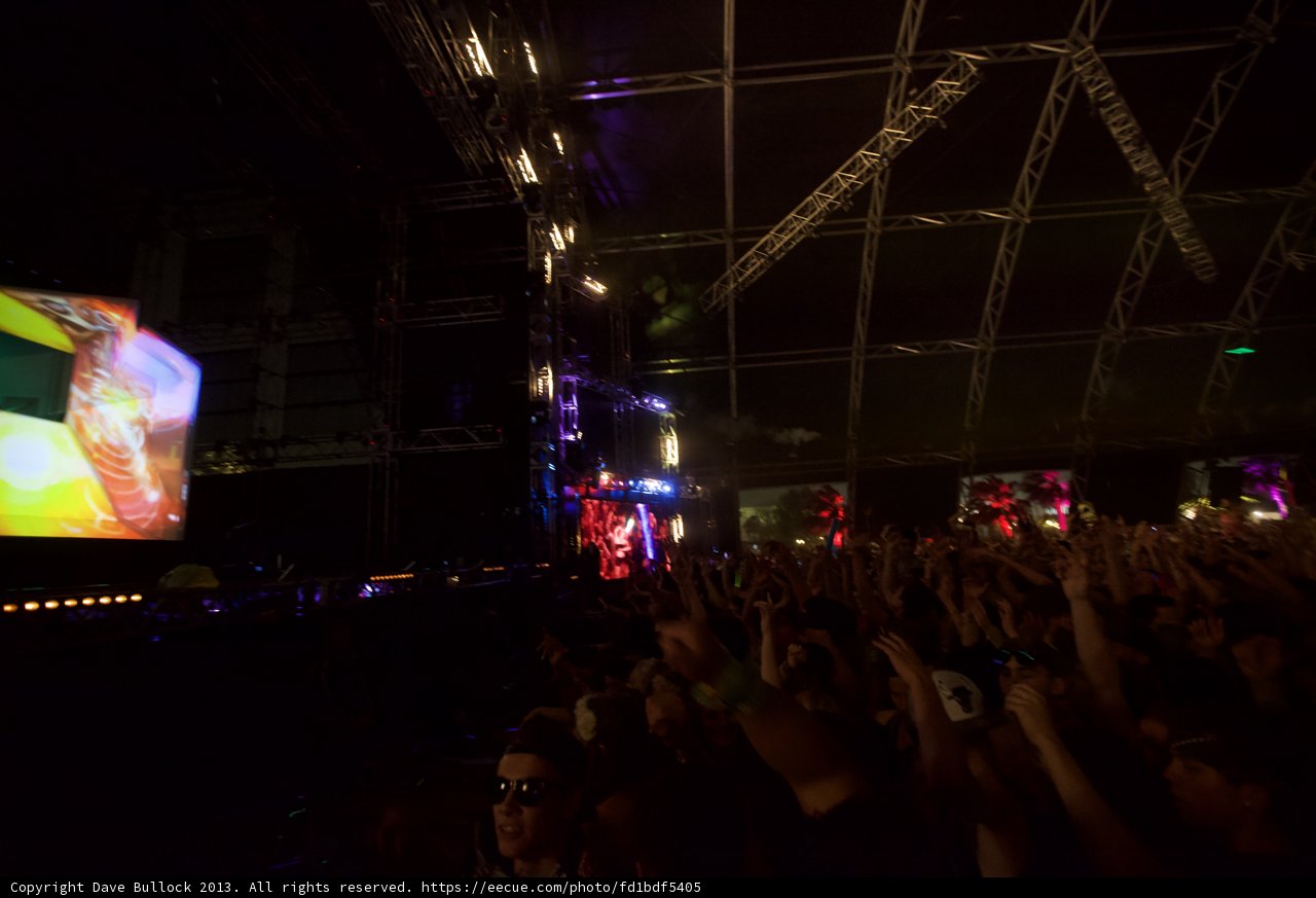 Coachella Crowd Goes Wild