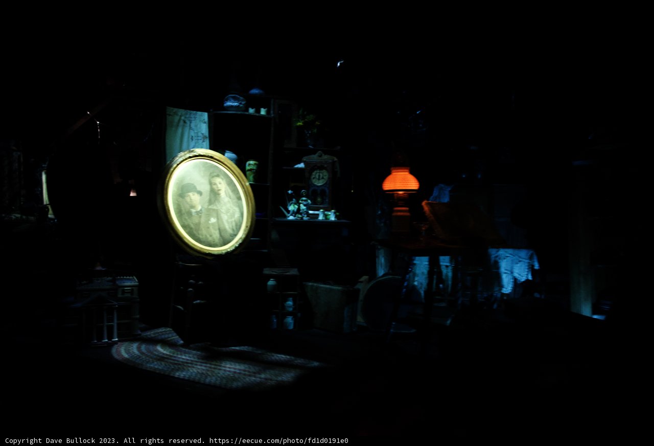 Magical Moments at the Disneyland Pub