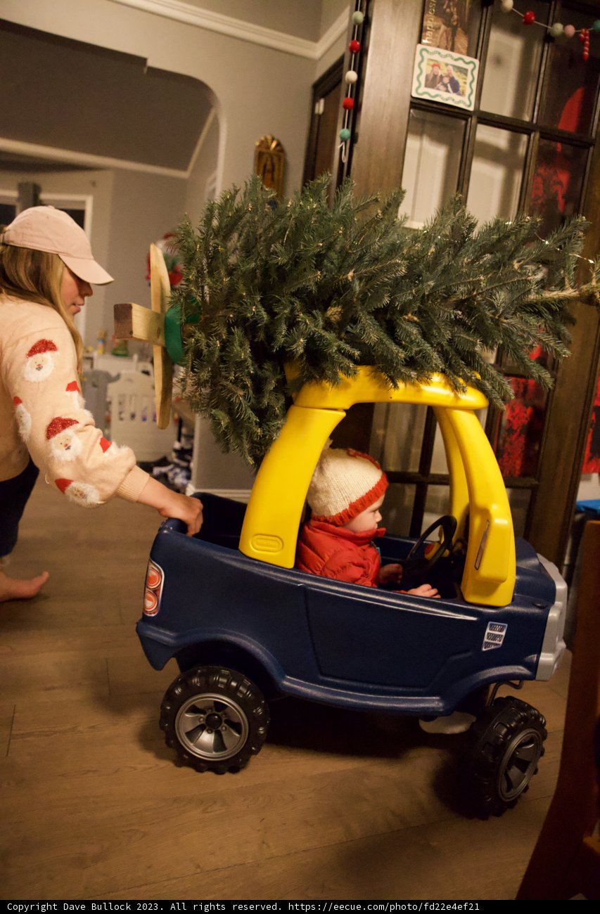 An Unforgettable Christmas Adventure