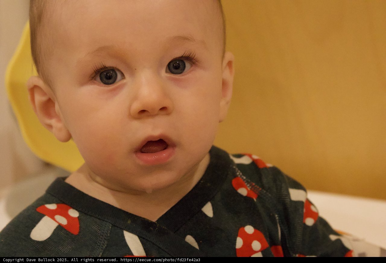 Curious Eyes
