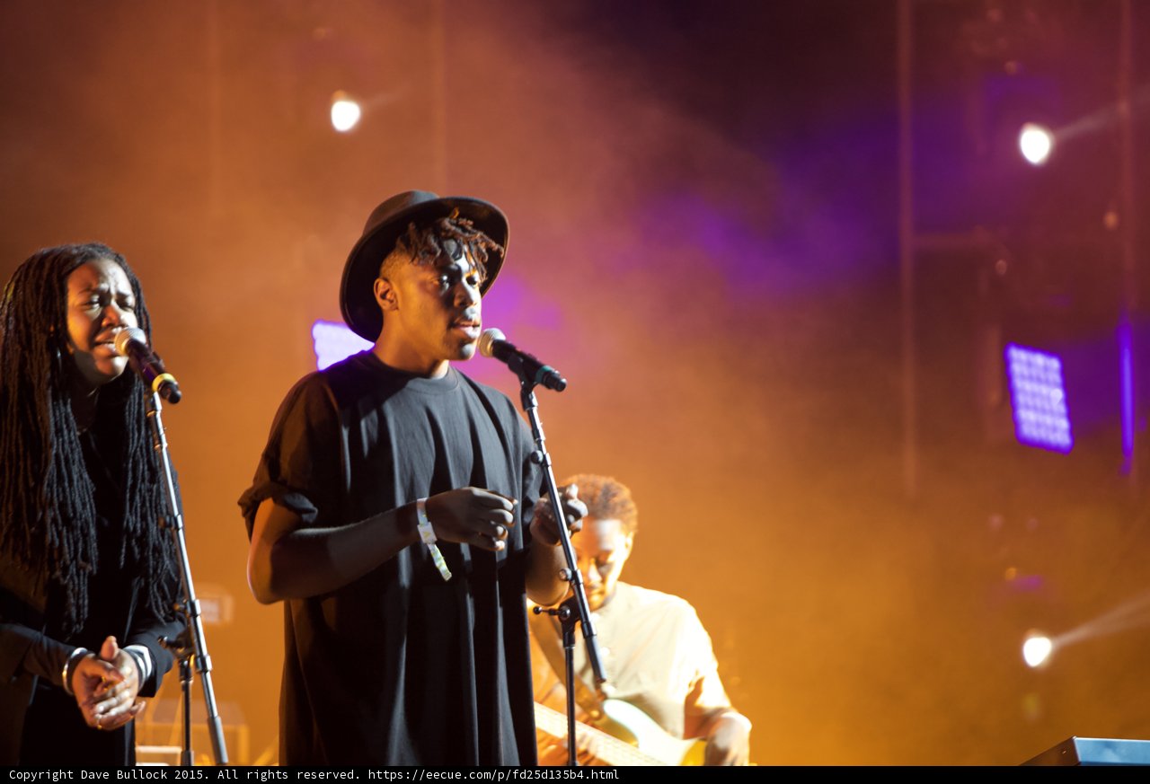 Solange Band Dreadlocks Backing Vocalist Hat Vocalist Bassist Wristband Orange Haze