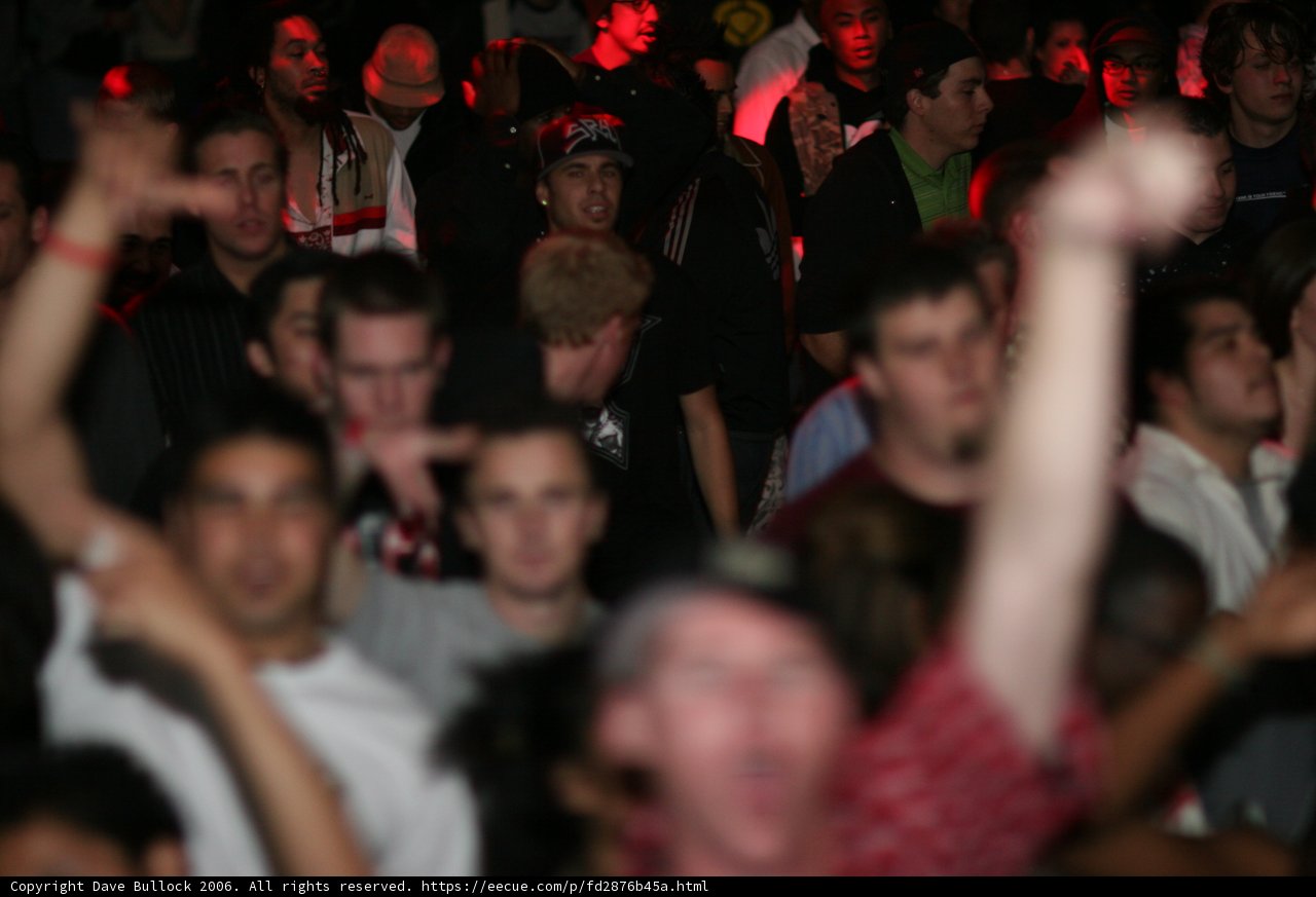 Bass Rush Partygoers