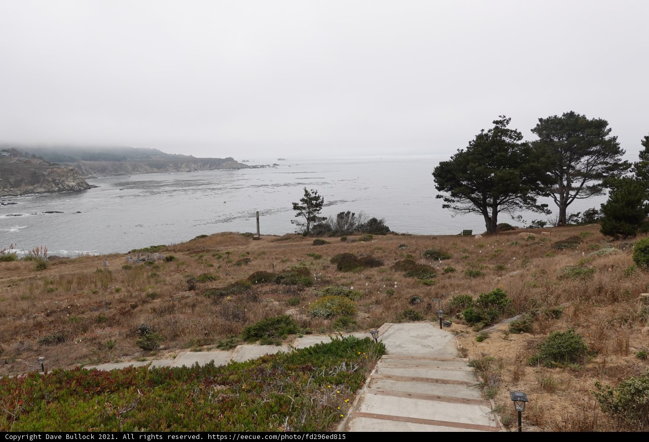 A Serene Walk to the Ocean