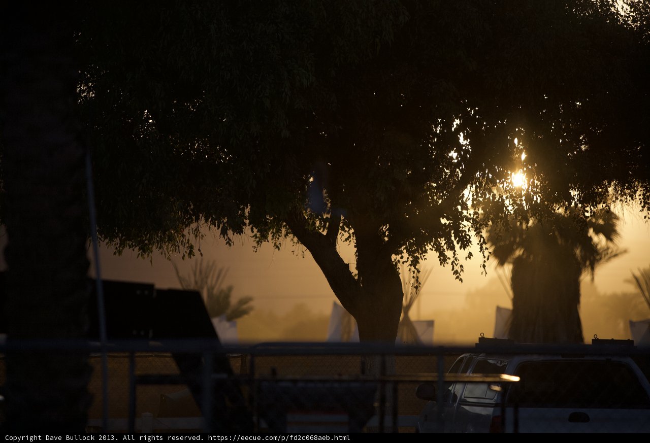 Sunset Silhouette