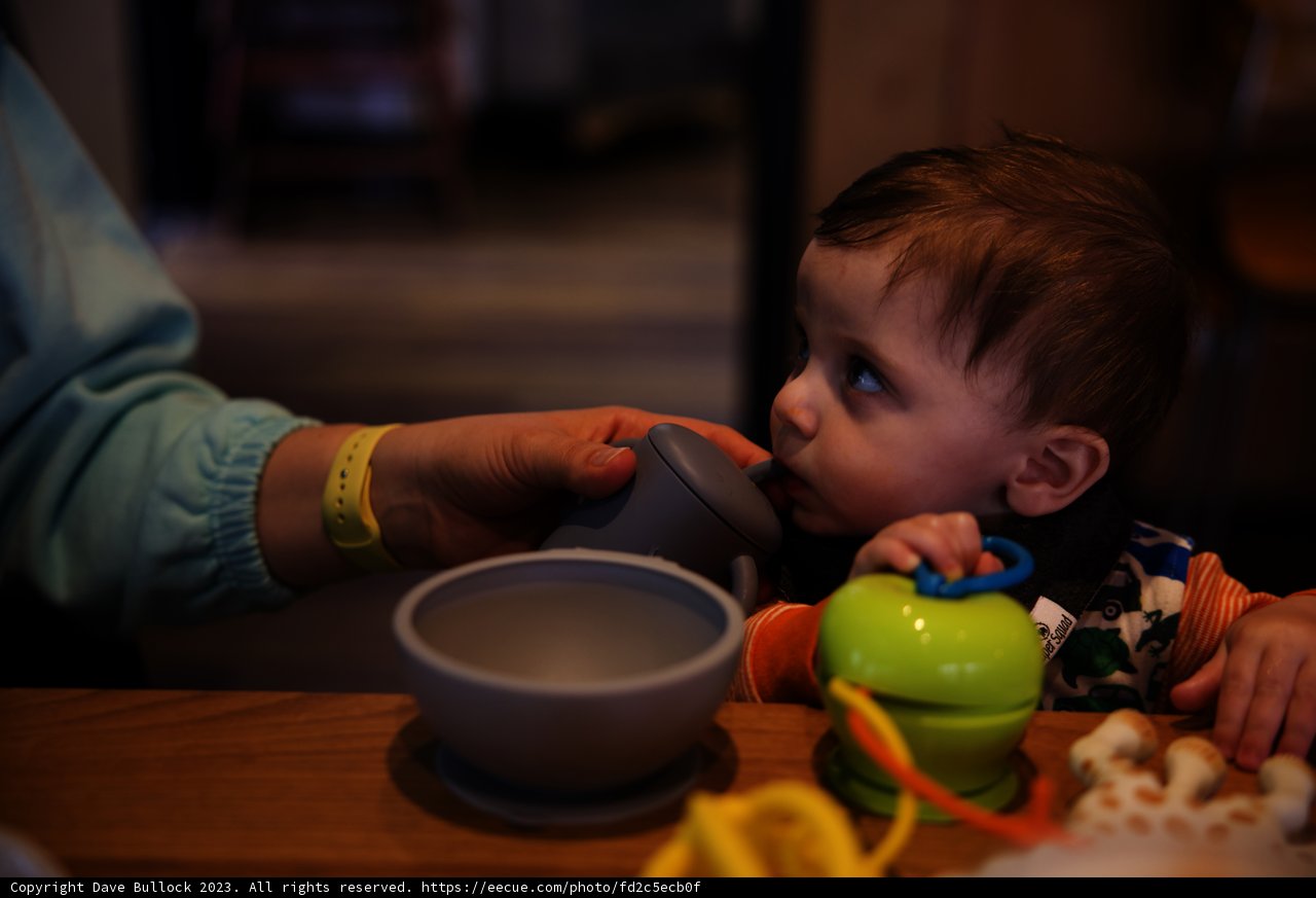 Baby's First Sip