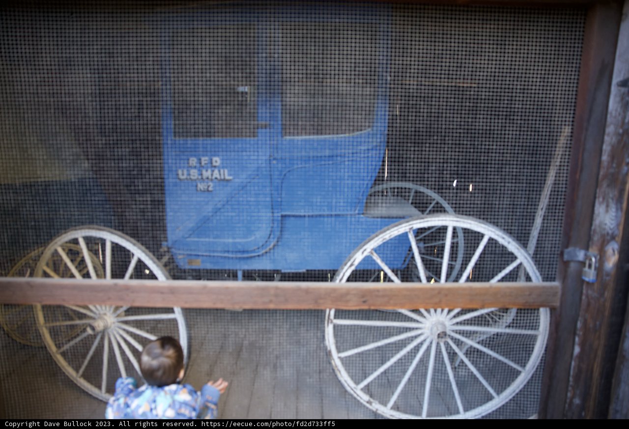 Moment of Wonder in Downtown Sonoma