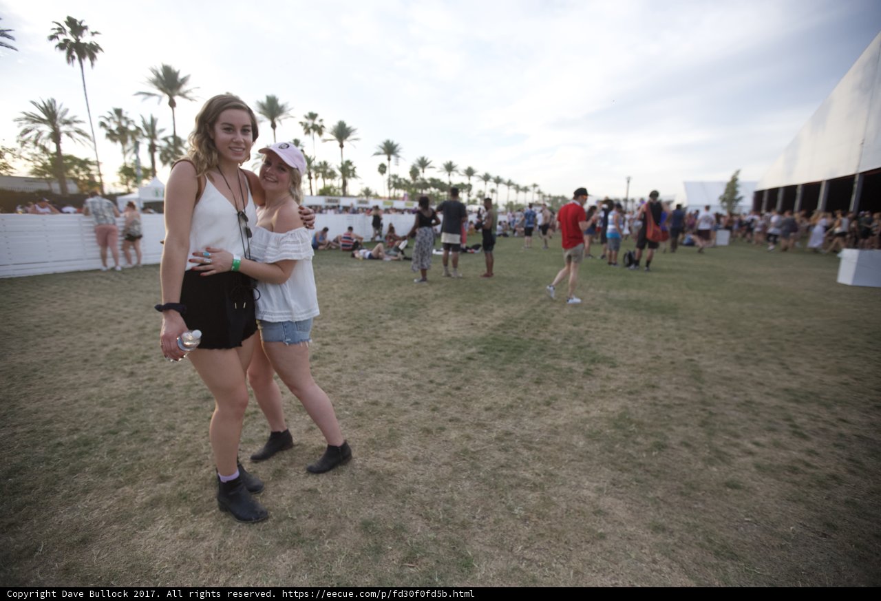 Festival Love