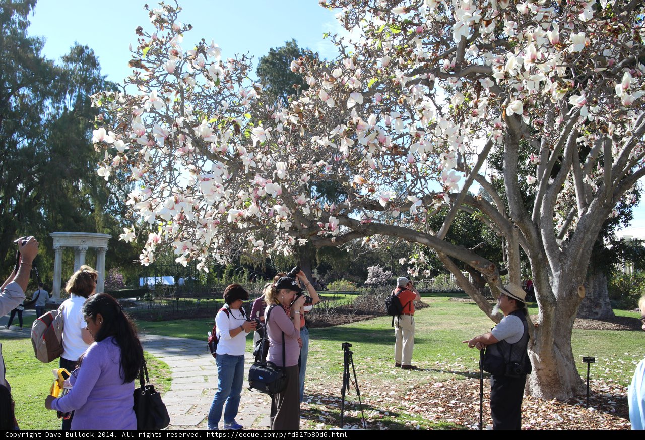 Blooming Friendship at The Huntington