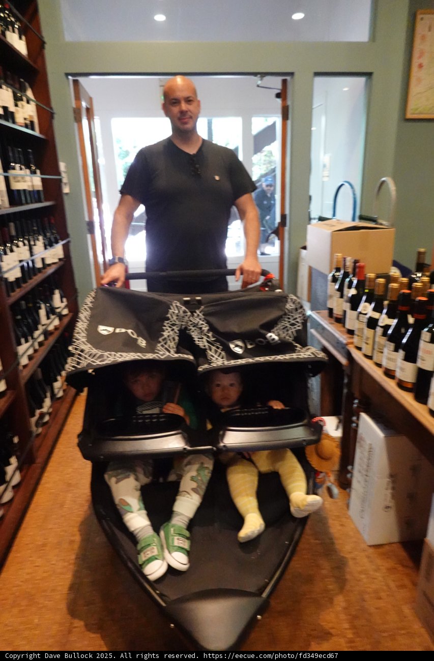 Stroll Through the Cellar