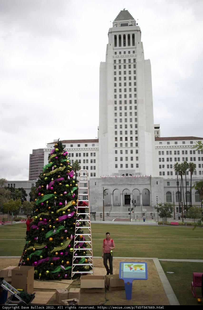 Towering Christmas Tree in the City