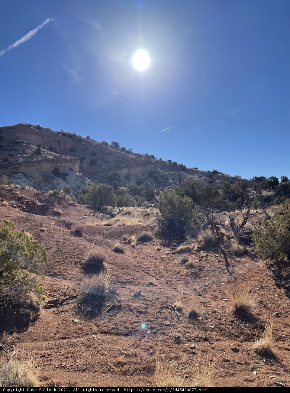 Bright Sun over the Desert