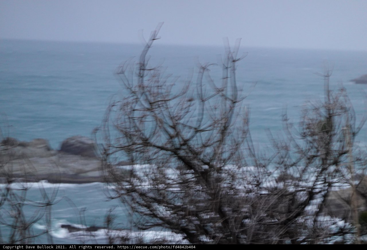Solitude by the Sea