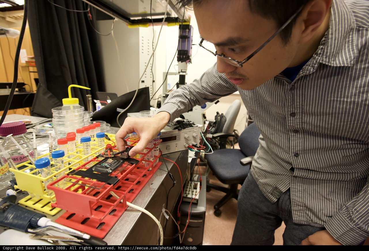 Working on the Computer in the Caltech Lab