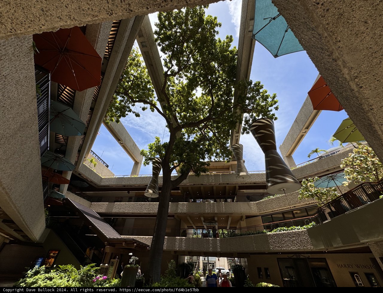 Urban Oasis in Honolulu