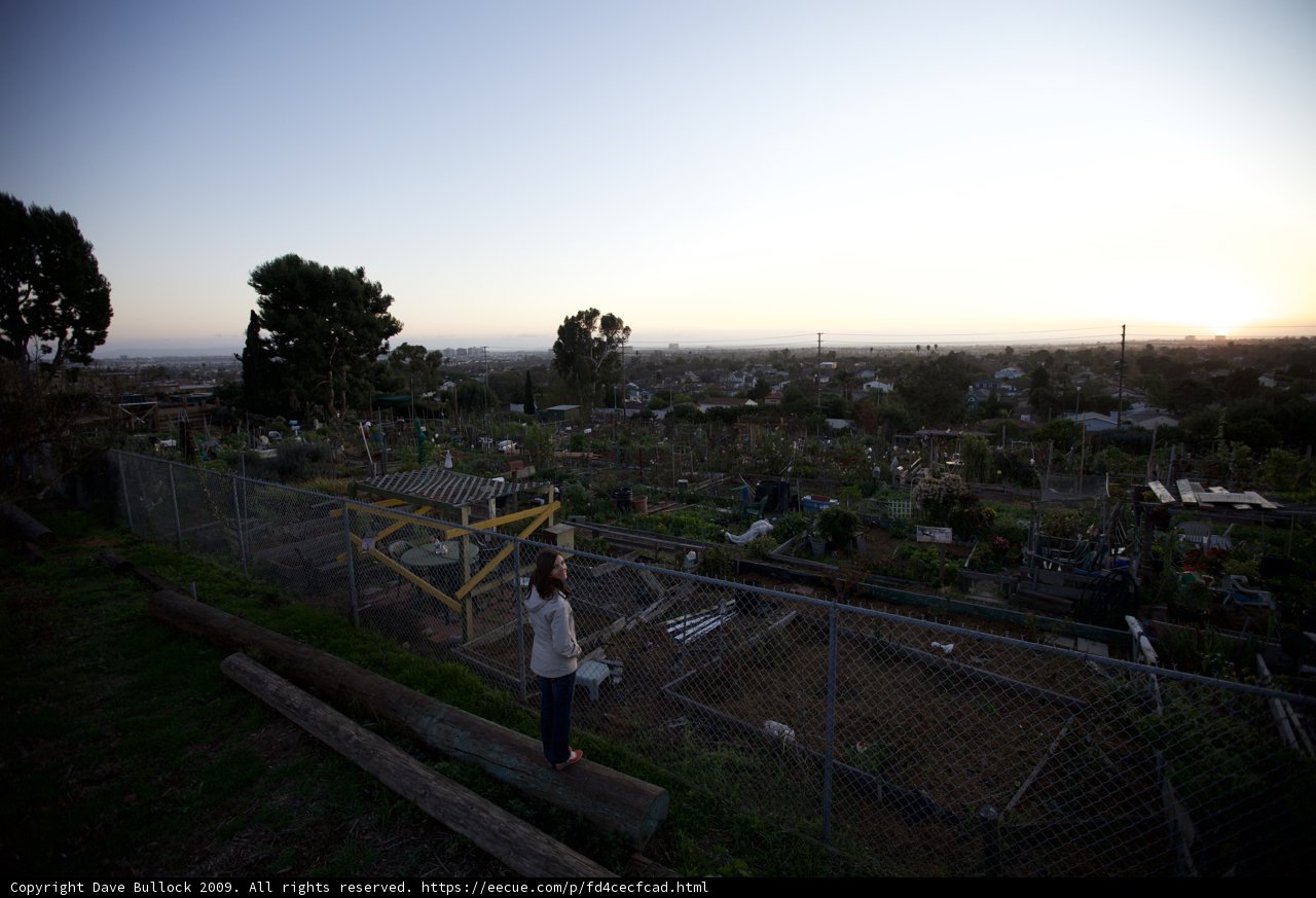 Overlooking the Garden