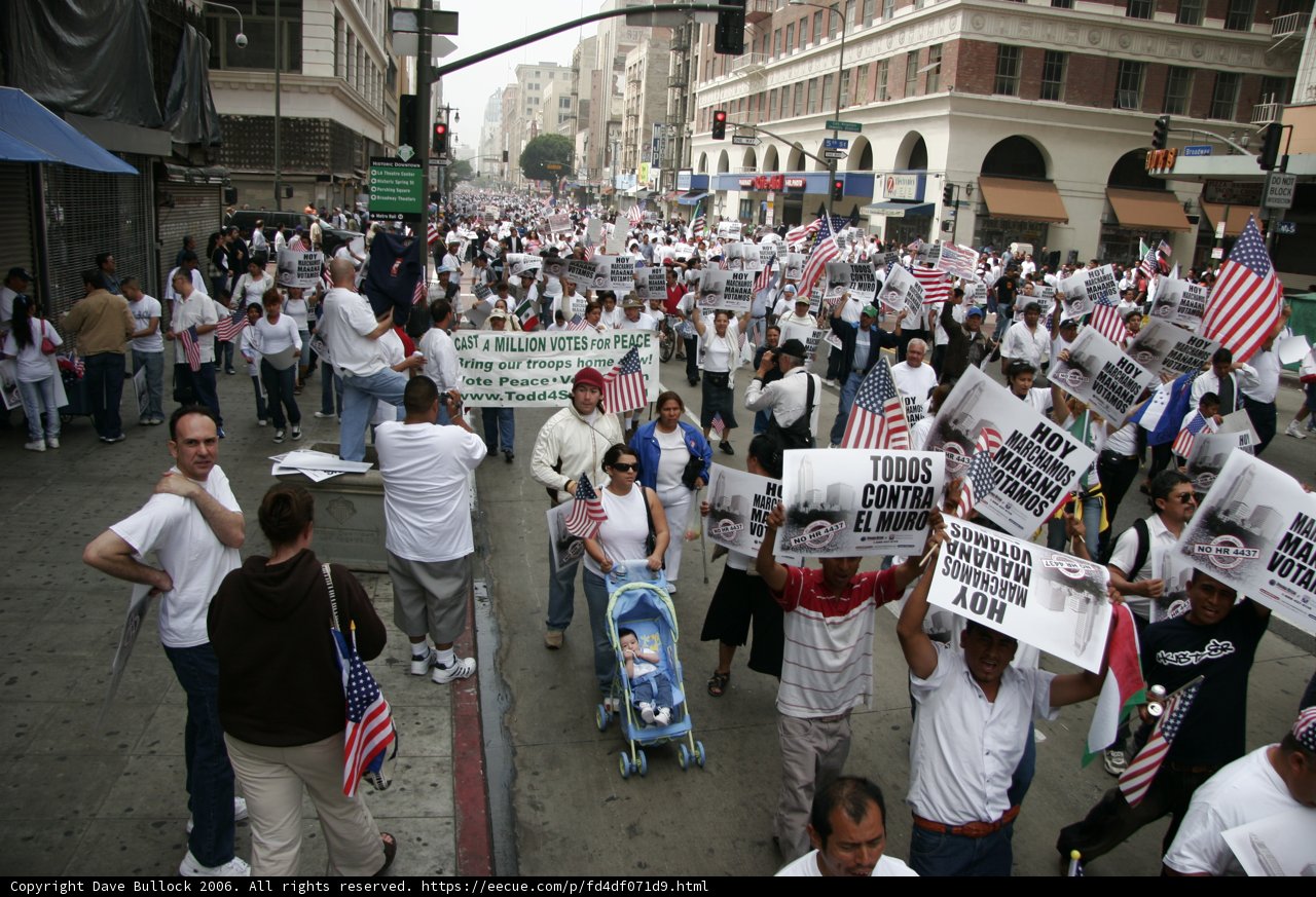 Protesters Rally for Change