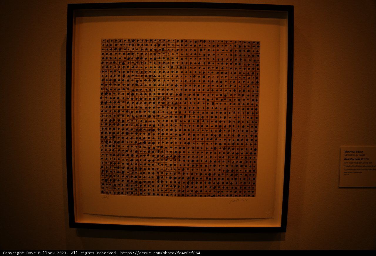 Modern Mastery at the de Young Museum
