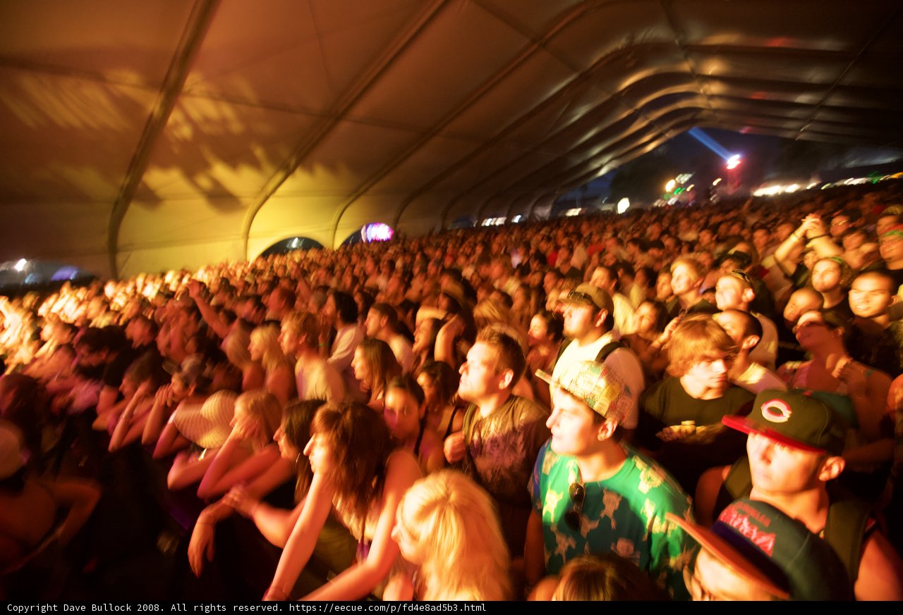 Electric Atmosphere at Coachella Concert