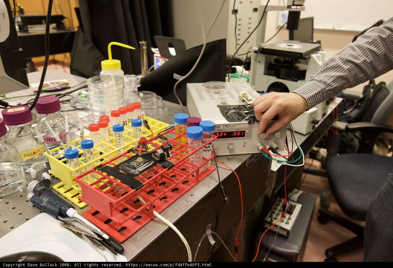 Working in the Lab