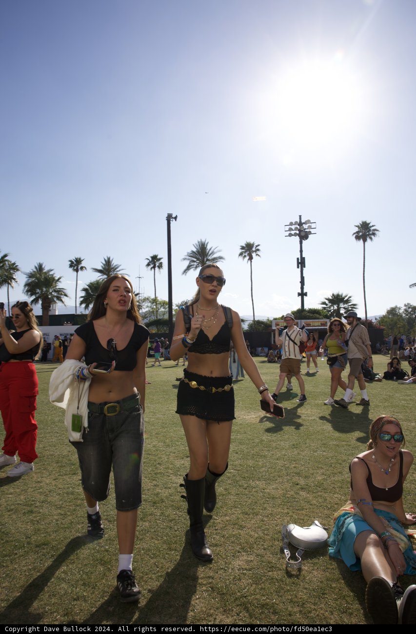 Sunny Vibes at Coachella 2024