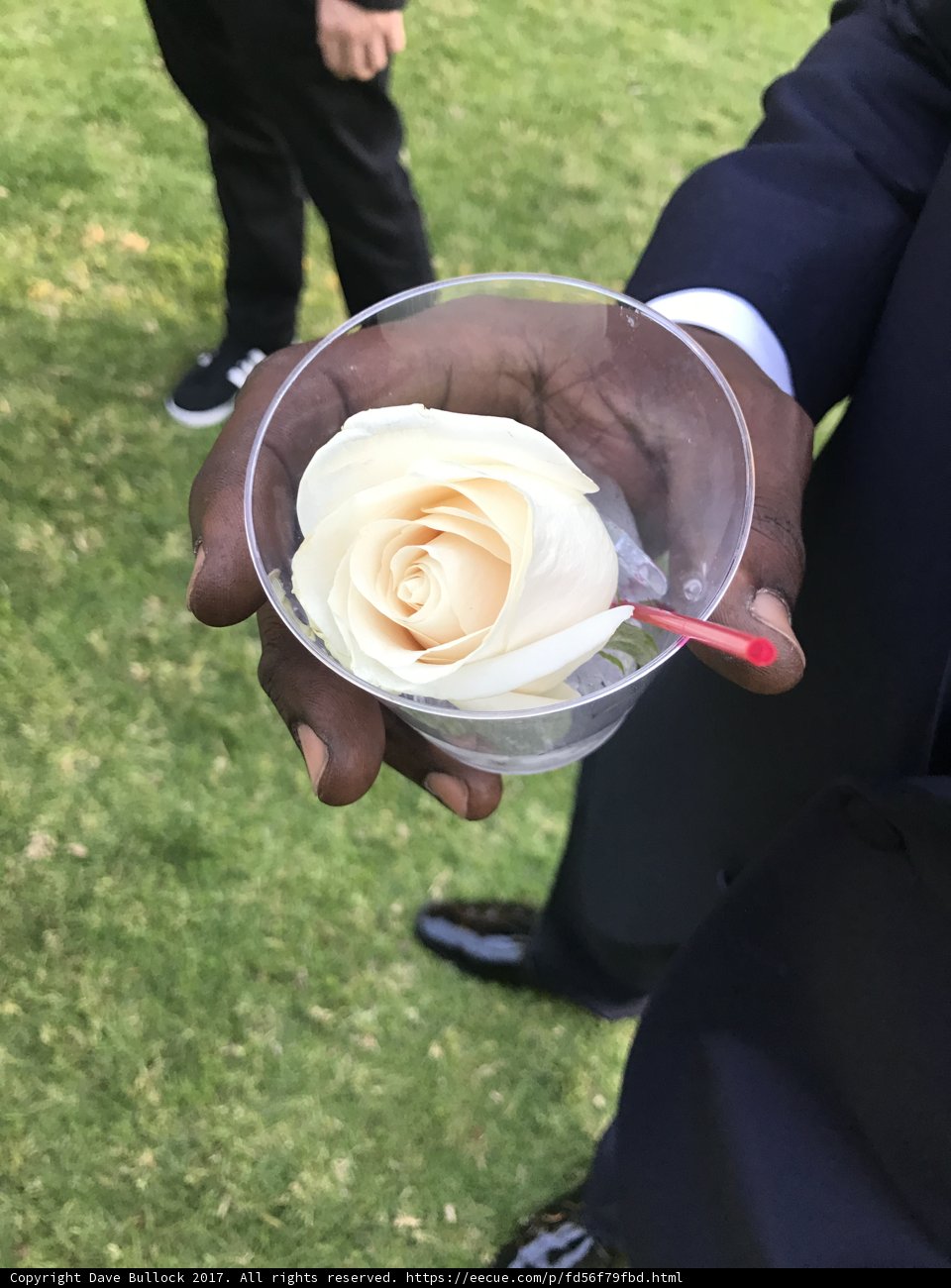 A Rose in His Cup