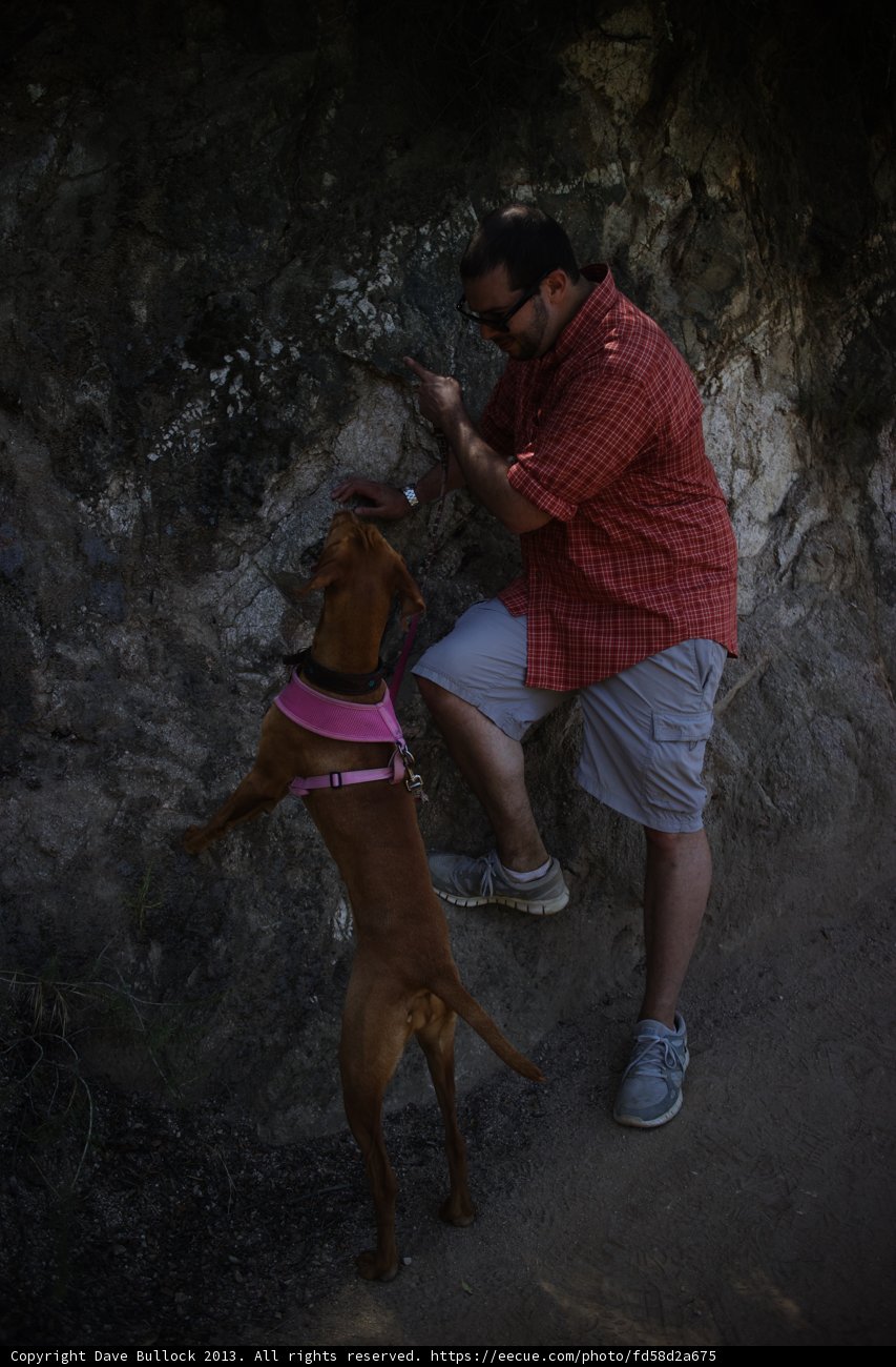Summer Fun with Fido