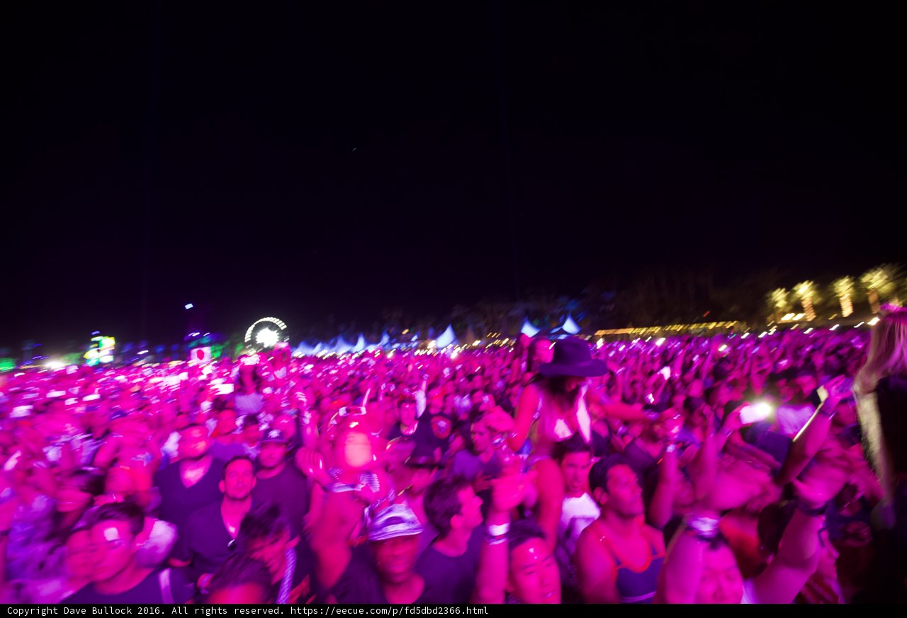 Purple Haze at Coachella