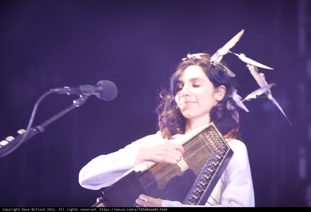 PJ Harvey's Soulful Rendition