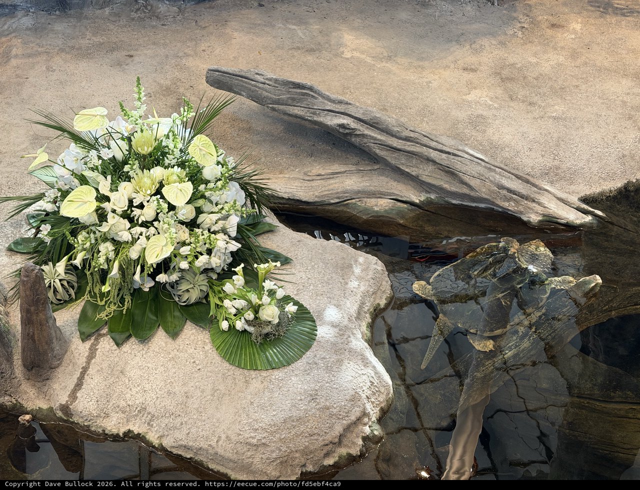 Memorial Flower Arrangement by Tranquil Water Feature