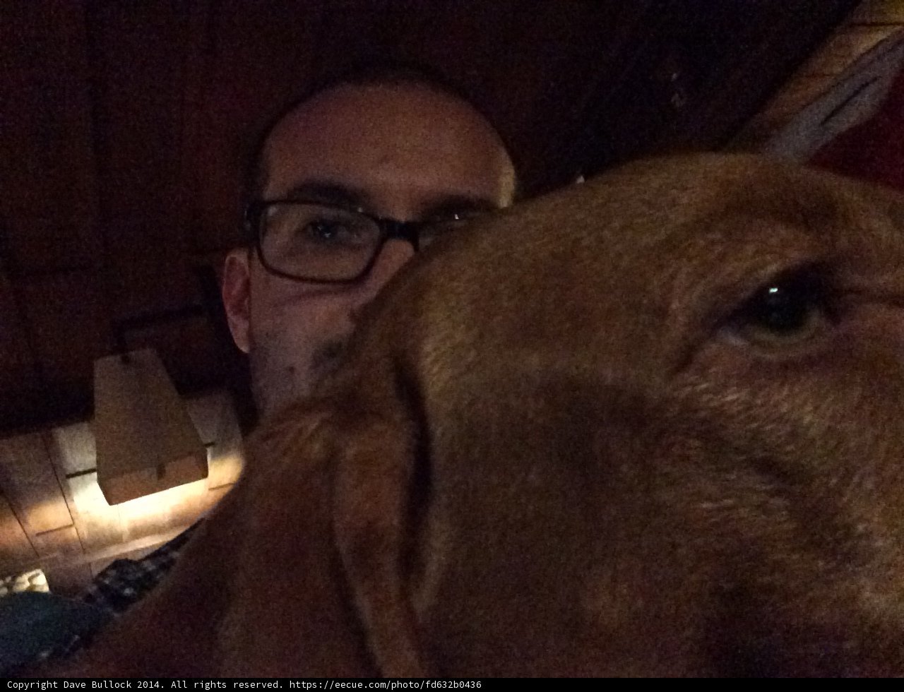 Man and his Furry Companion