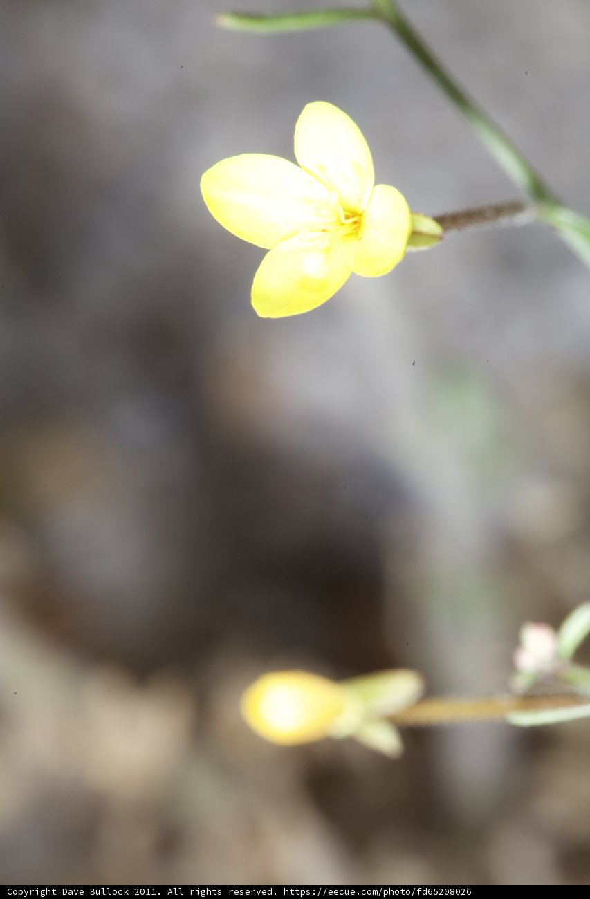 Solitude in the Wild