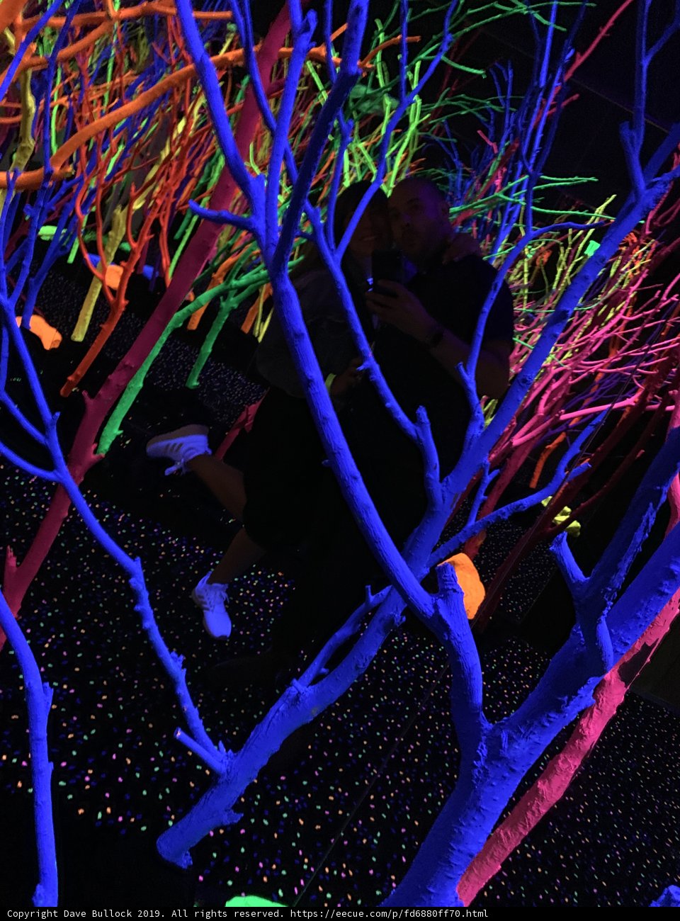 Clubbing Under Neon Trees