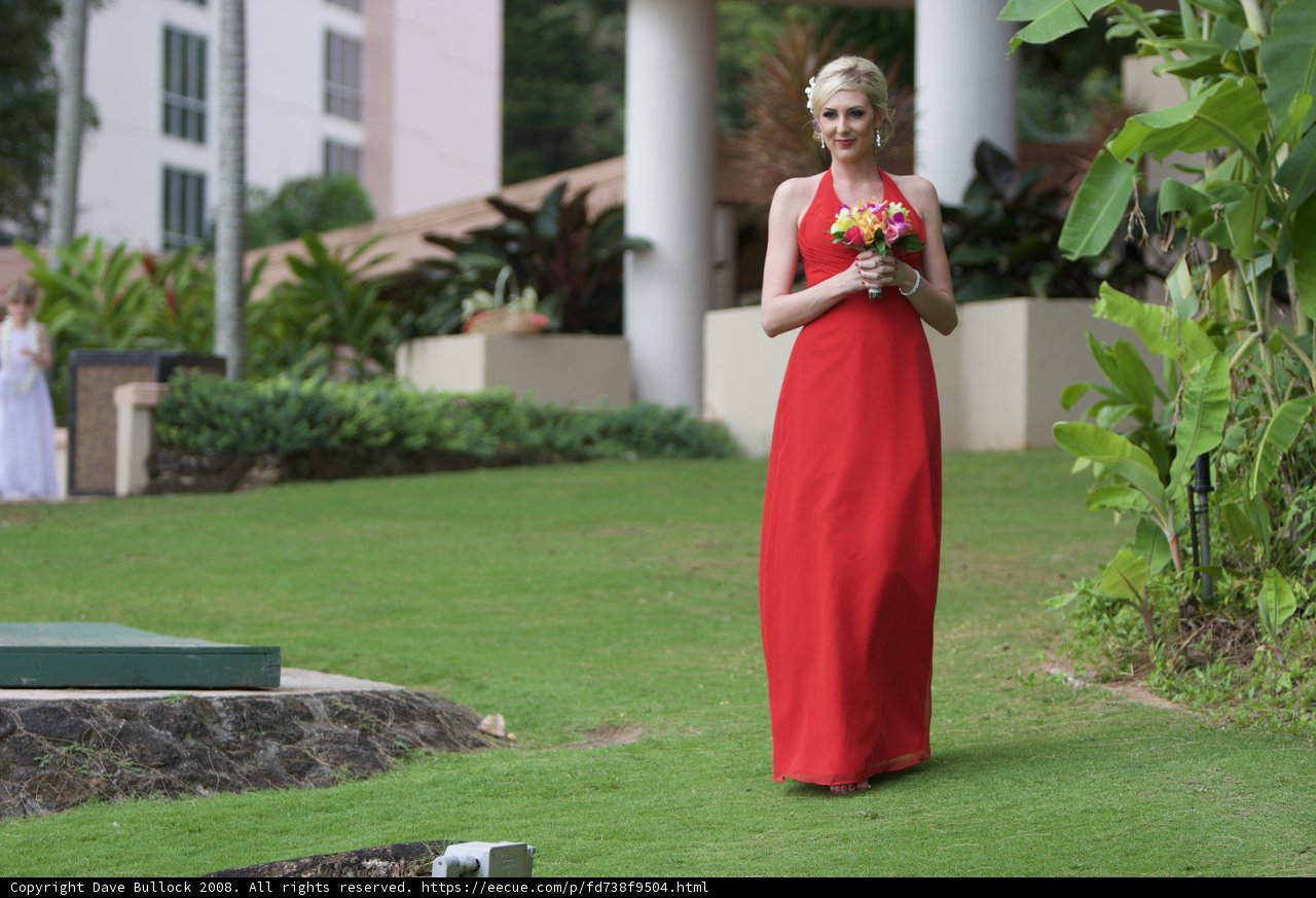 A Lady in Red Graces the Lawn