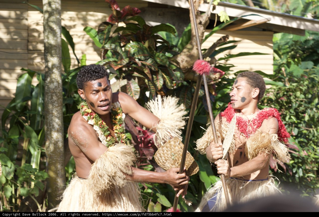 Traditional Dance Performance in a Foliage-Adorned Setting