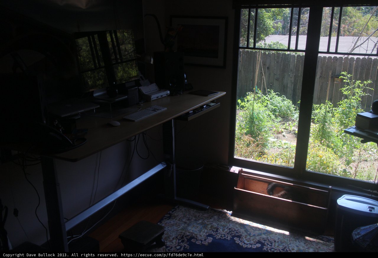 Garden View Workspace