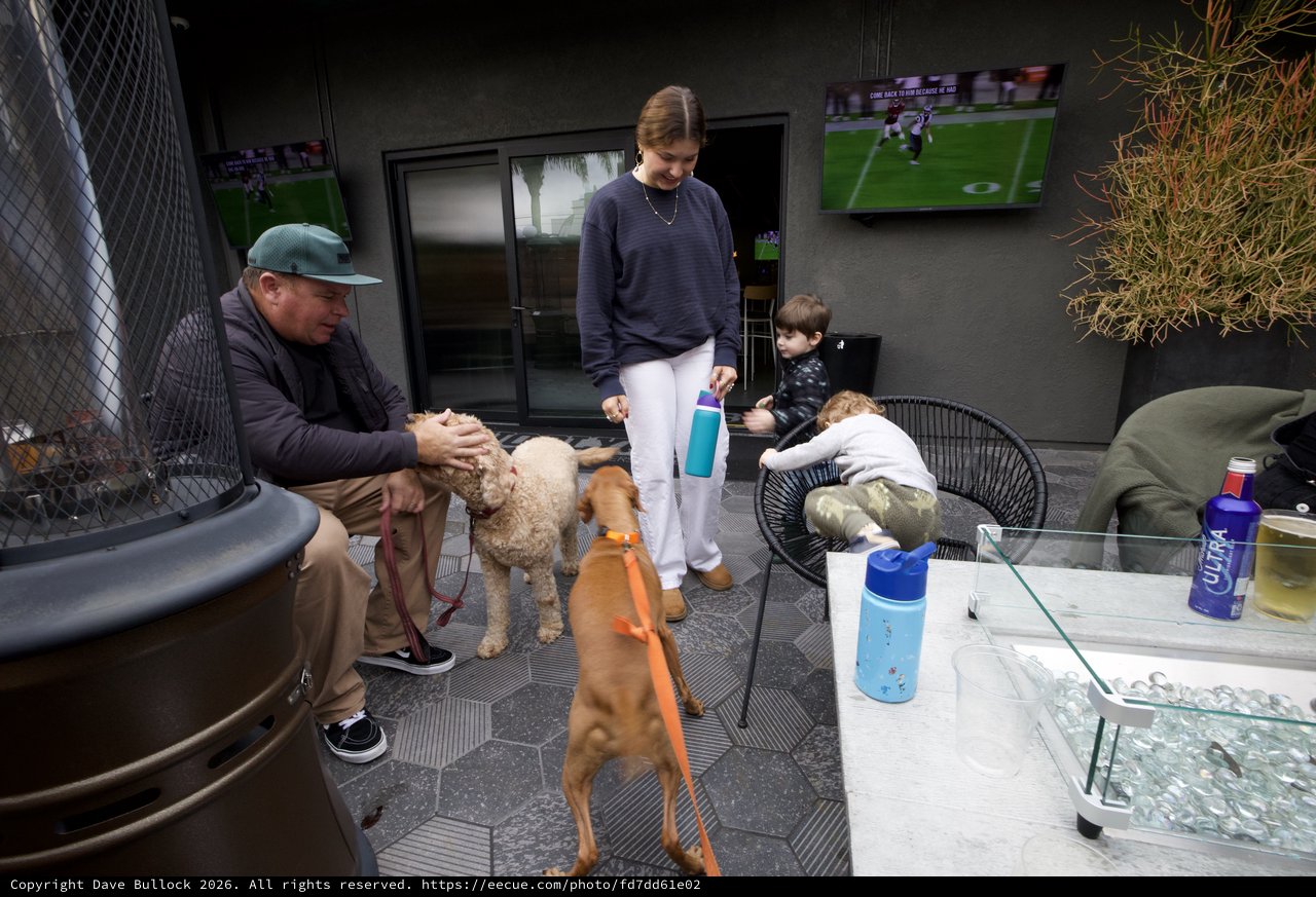 Family Patio Gathering with Dogs and Football