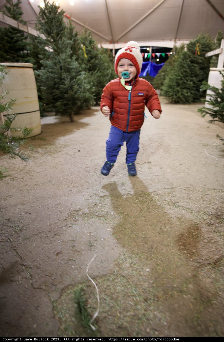 The Little Explorer's Day Out