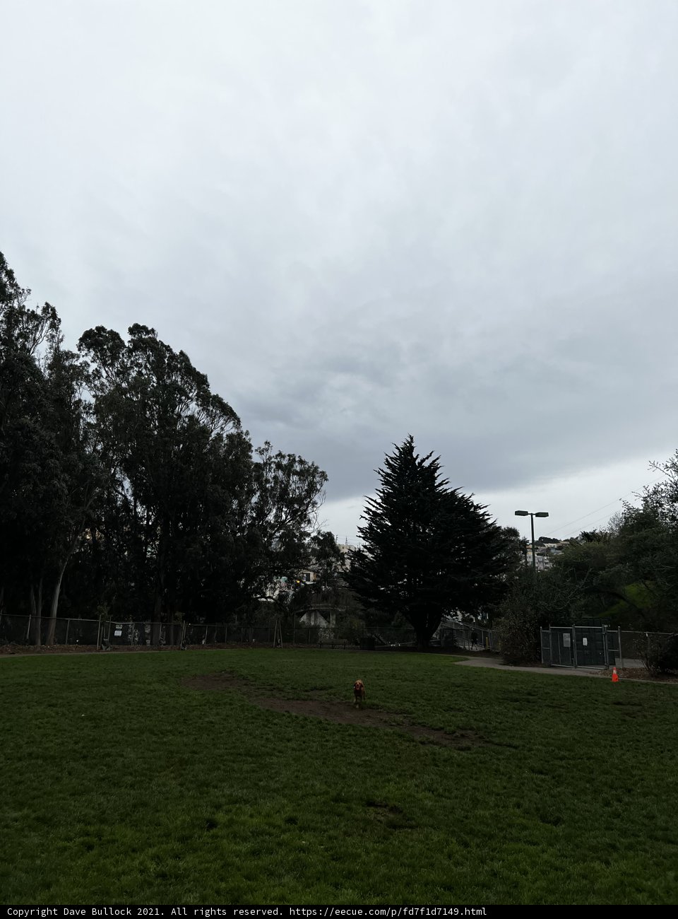Serenity at the Park