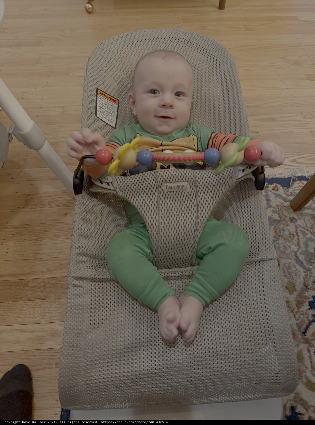 Happy Baby in Modern Bouncer Seat