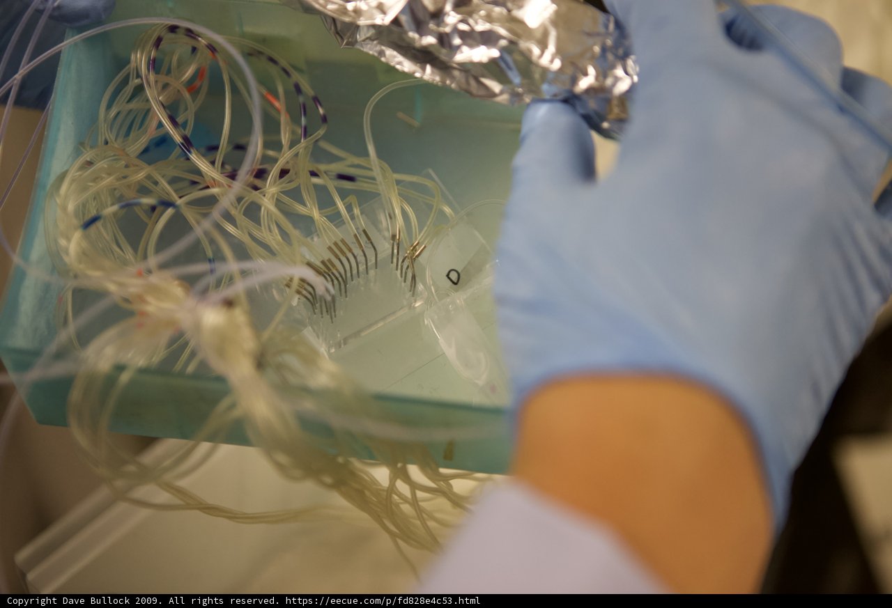 Blue Gloved Person Handling Wires in Micro Bio Chip Lab