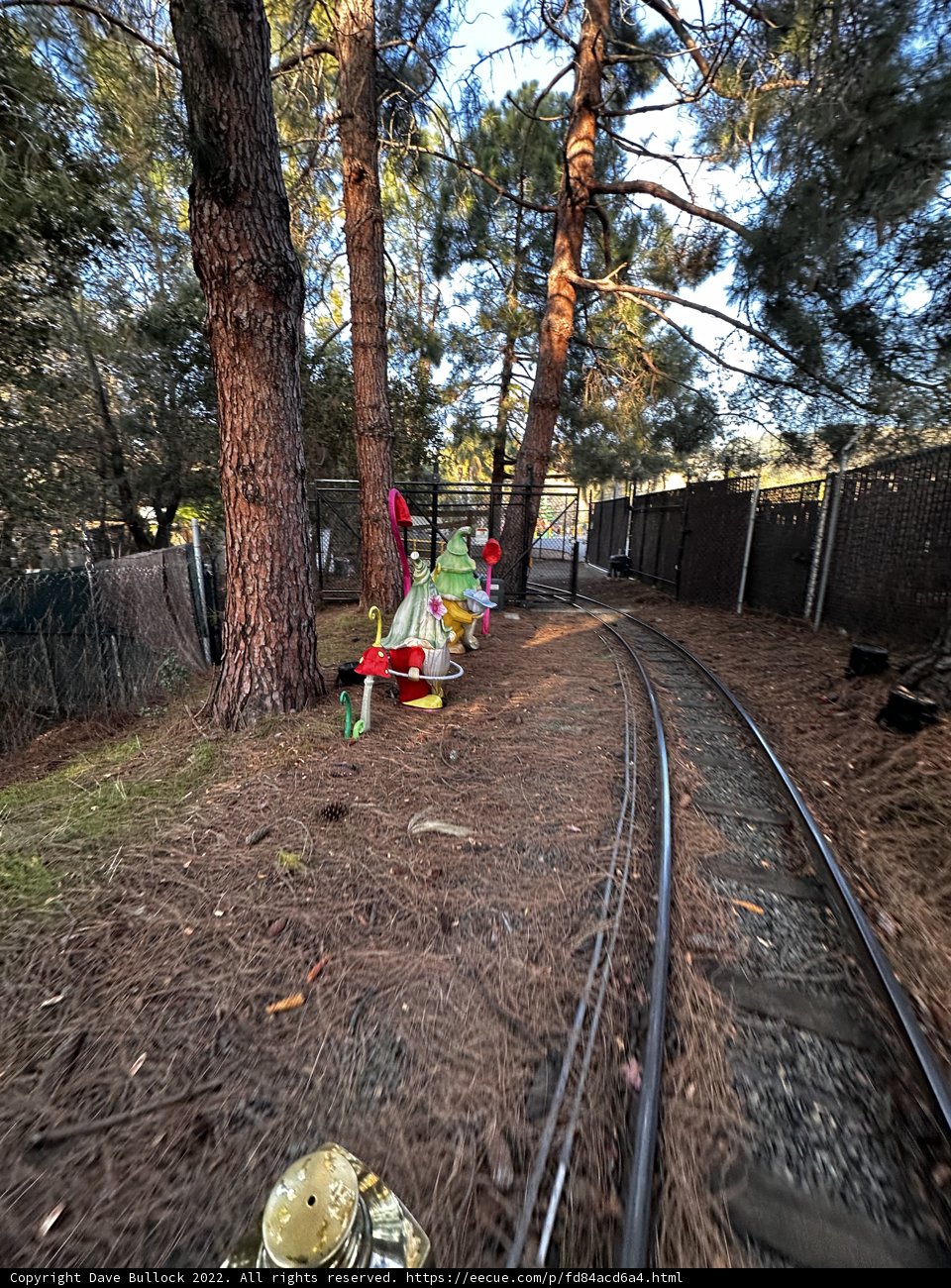 Train Track and Tree at Oakland Zoo