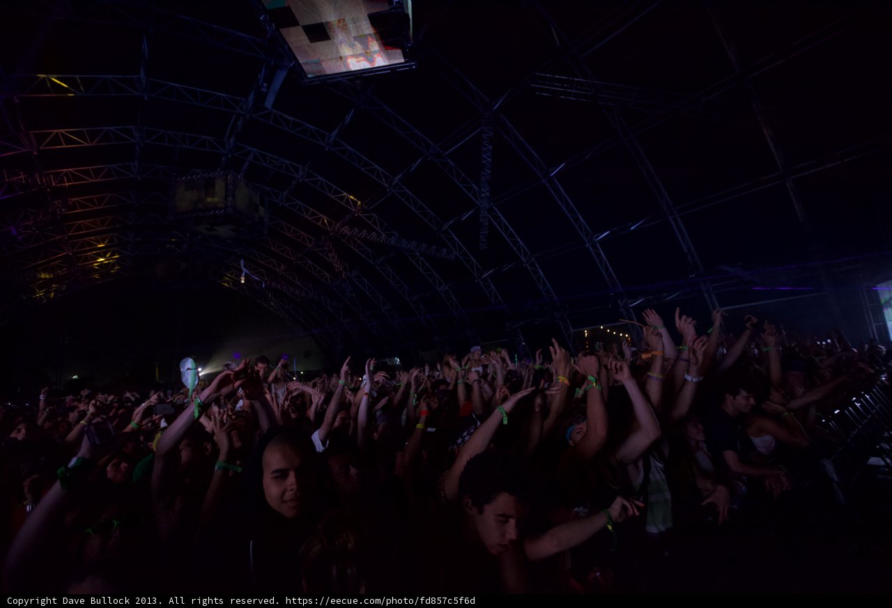 Coachella Crowd Goes Wild