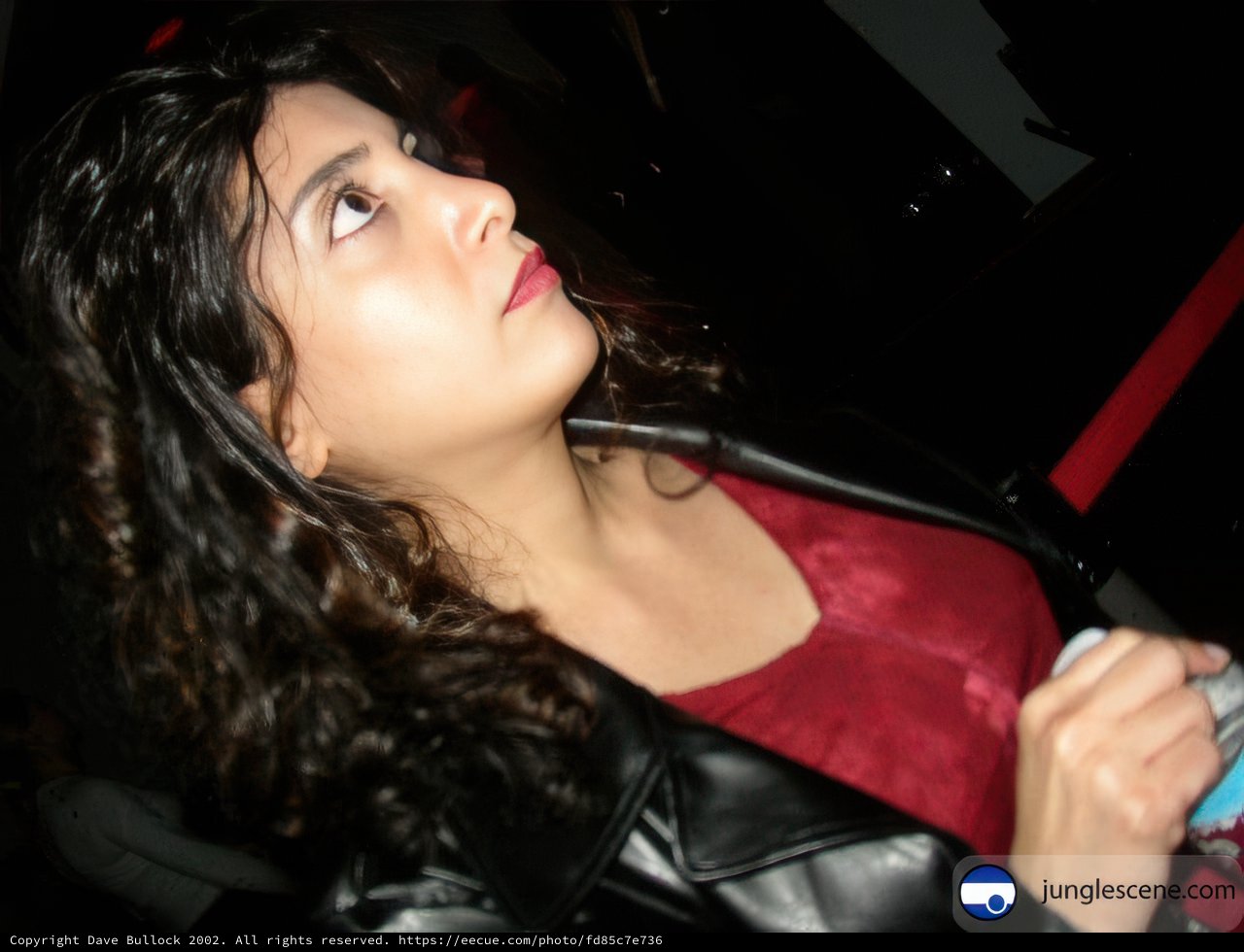 Lady in Red