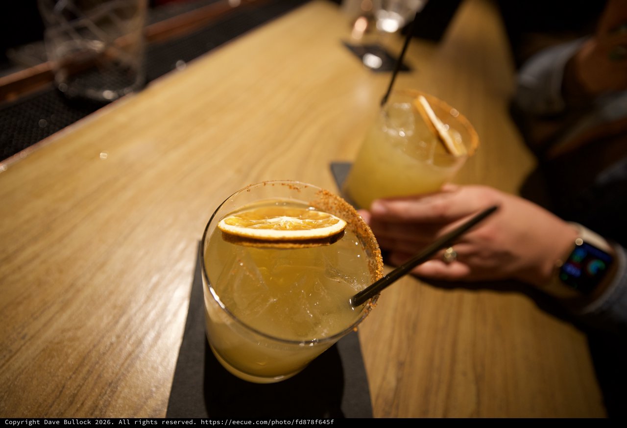 Craft Cocktails with Citrus Garnish on Wooden Bar