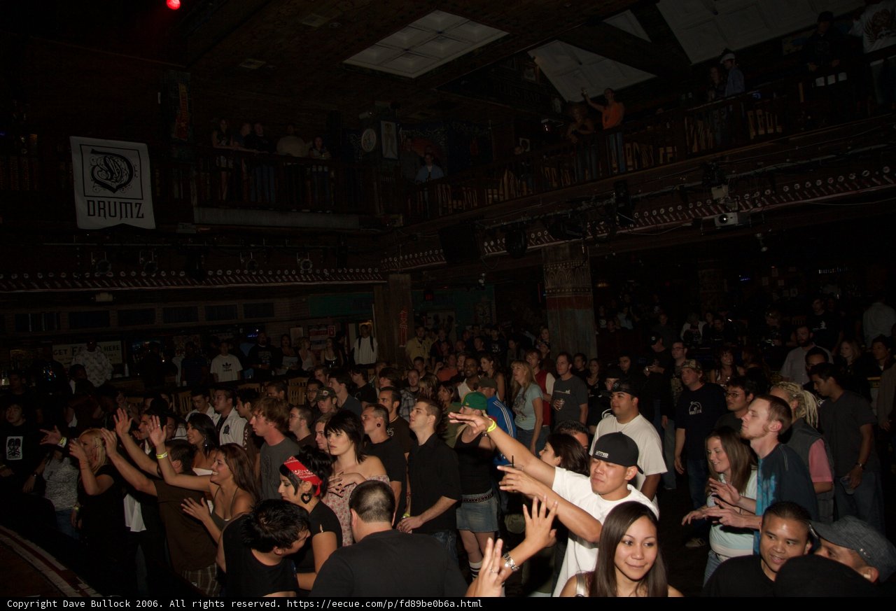 Urban Nightlife Concert Crowd