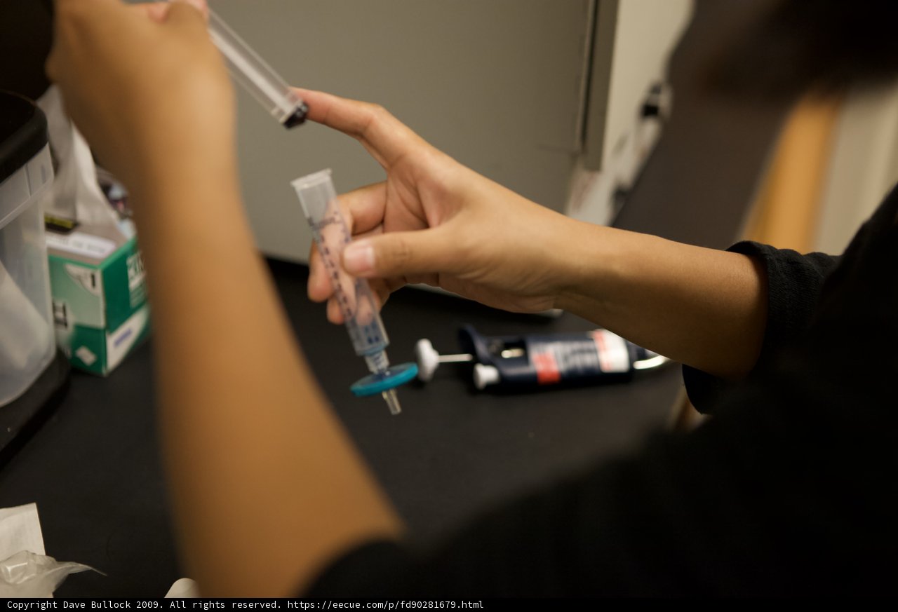 The Intravenous Session