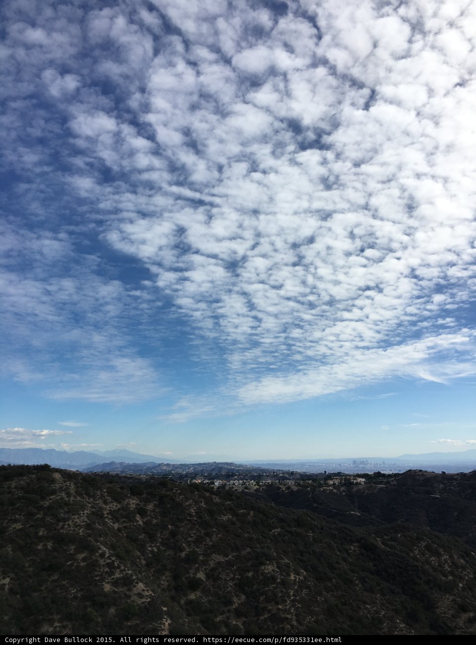 Trail Summit View